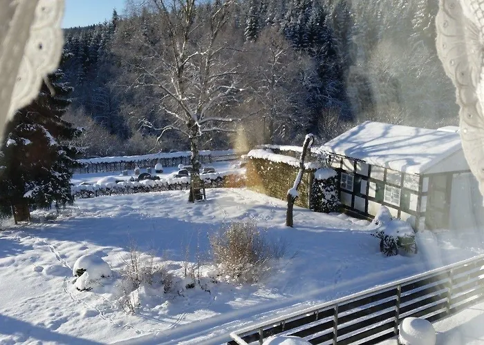 Groepshuis Winterberg Hotel Elkeringhausen